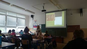 Hovorme o&nbsp;jedle 2014&nbsp;- naše aktivity - 4