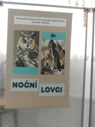 Výstava - Noční dravci - 1